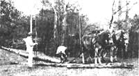 
Draft horses are great for the small farmer who loves animals.
